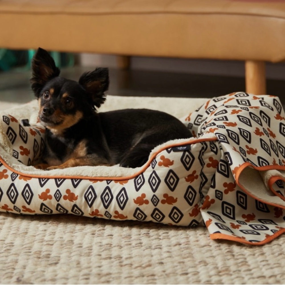 Mickey Mouse Southwest Diamond Bed & Gift Set